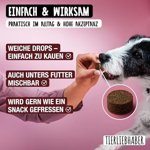 TIERLIEBHABER - Harn & Nieren Drops weiche Hundeleckerli – Von Tierärzten entwickeltes Nierenfutter Hund – Als Unterstützung der Blasen- und Nierenfunktion – Natürliches Hund Nierenfutter – 350g