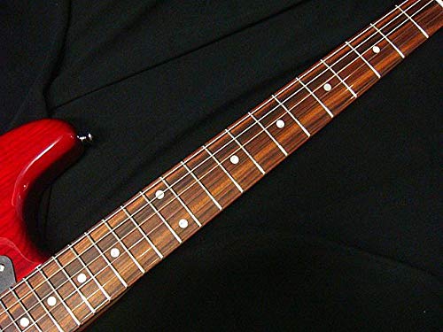 Amazon | SCHECTER PS-ST-N-4/STR/PF シェクター シースルーレッド