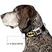 Buckle-Down Hundehalsband mit Schnalle, Batman-Schild, Schwarz/Gelb, 1.5' Wide - Fits 16-23' Neck - Medium, Mehrfarbig