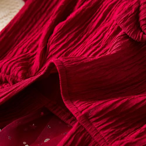 TTYAOVO Little Girls Long Sleeves Casual Birthday Dress with Tutu Skirt4