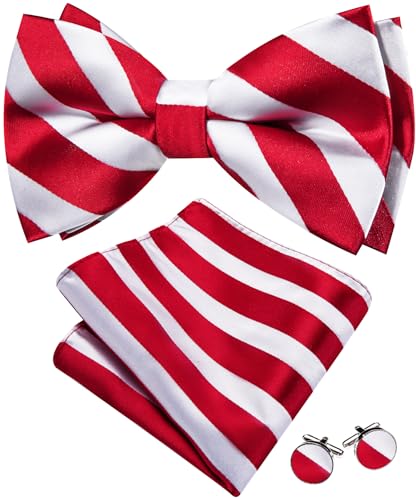 Image of Barry.Wang Paisley Striped Bow Tie for Men Silk Pre-Tied Bowtie Set
