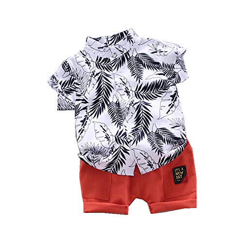 Toddler Boy Summer Shorts Set Outfits Hawaiian Shirts Short Sleeve T-Shirt Kids Playwear Clothes 2 Piece White