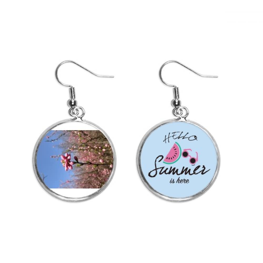 Pendientes de sandía joyería fotográfica para lóbulo y moda de verano 5