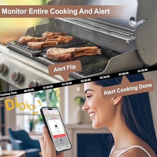 WIFI Wireless Meat Thermometer product image 4