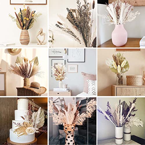 Erba di pampa secca, fiori secchi e foglie di