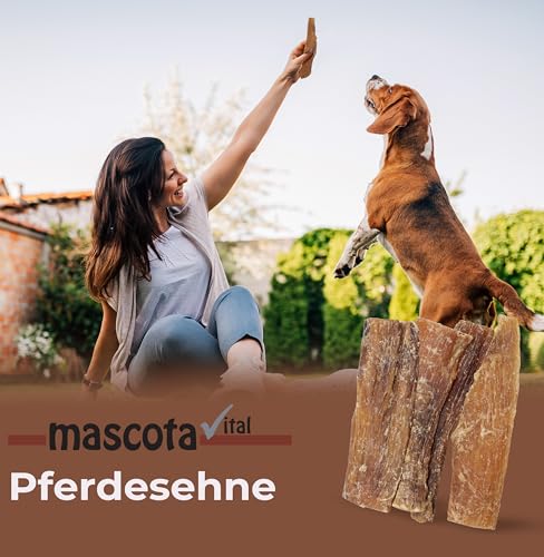mascota vital - Pferde-Sehne 200g -100% Pferd - Pferdesehne ist für ernährungssensible Hunde geeignet - sensitiv - Langer Kauspaß - Pferdesehne für Hunde (Pferde-Sehne)