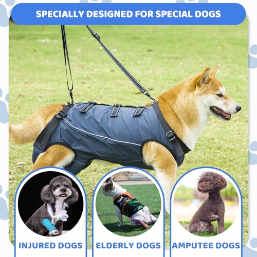 Ziyonix Hunde Tragehilfe, Hundegeschirr Unterstützung und Rehabilitationsschlinge Verstellbare Atmungsaktive Tragegurt Hund für Alt, Gelenkverletzungen, Arthritis, Behinderte Hunde (XL)