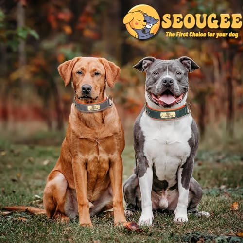 SEOUGEE Hundehalsband aus echtem Leder, personalisierbar, weich gepolstert, strapazierfähig, mit individuell graviertem Namensschild, verstellbar für kleine, mittelgroße und große Hunde (M, Braun