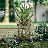 vomiceak Face Planter - Unique Old Man Tree Face Planters for Outdoor Indoor Plants with Drainage Hole, Funny Plant Pots for Succulents - Creative Flower Pots as Gifts for Women and Men (Green Man)