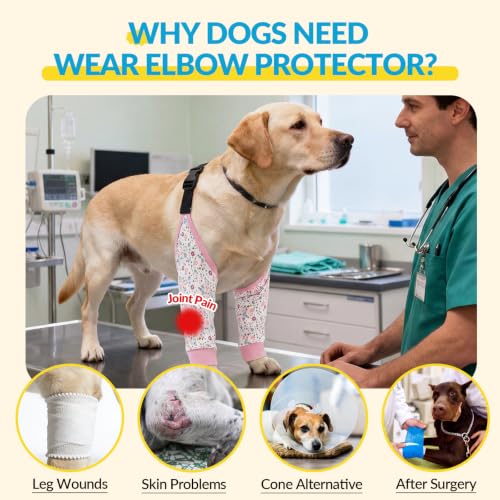 Image of ROZKITCH Dog Sleeve to Prevent Licking for Front Leg Surgery