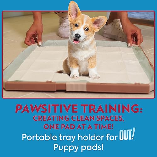 OUT-Training-Pad-Holder-for-Pets-Fits-Pads-21-by-21-inch OUT Training Pad Holder for Pets Fits Pads 21 by 21 inch