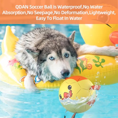 Image of QDAN Dog Toys Soccer Ball with Straps, Interactive Dogs Toys for Tug of War, Puppy Birthday Gifts, Dogs Tug Toy, Dog Water Toy, Durable Dog Balls for Medium & Large Dog - Duck(8 Inch) | Durable Dog Balls for Aggressive Chewers, Interactive Soccer Ball Toys, for Tug of War, Birthday Gifts for Large Dogs, Duck
