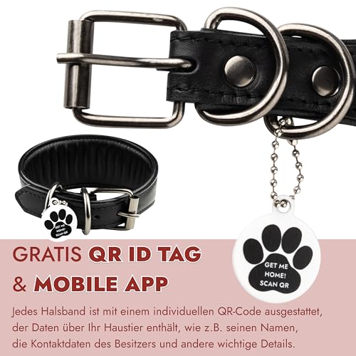 FAVPET Handbemalter Echtleder Windhund Halsband Breit mit QR Code Anhänger, Weiches Lederhalsband Hund Whippet Italienisches Windspiel Saluki Lurcher Spanischer Galgo Podenco (Rote Mohnblumen, XS)
