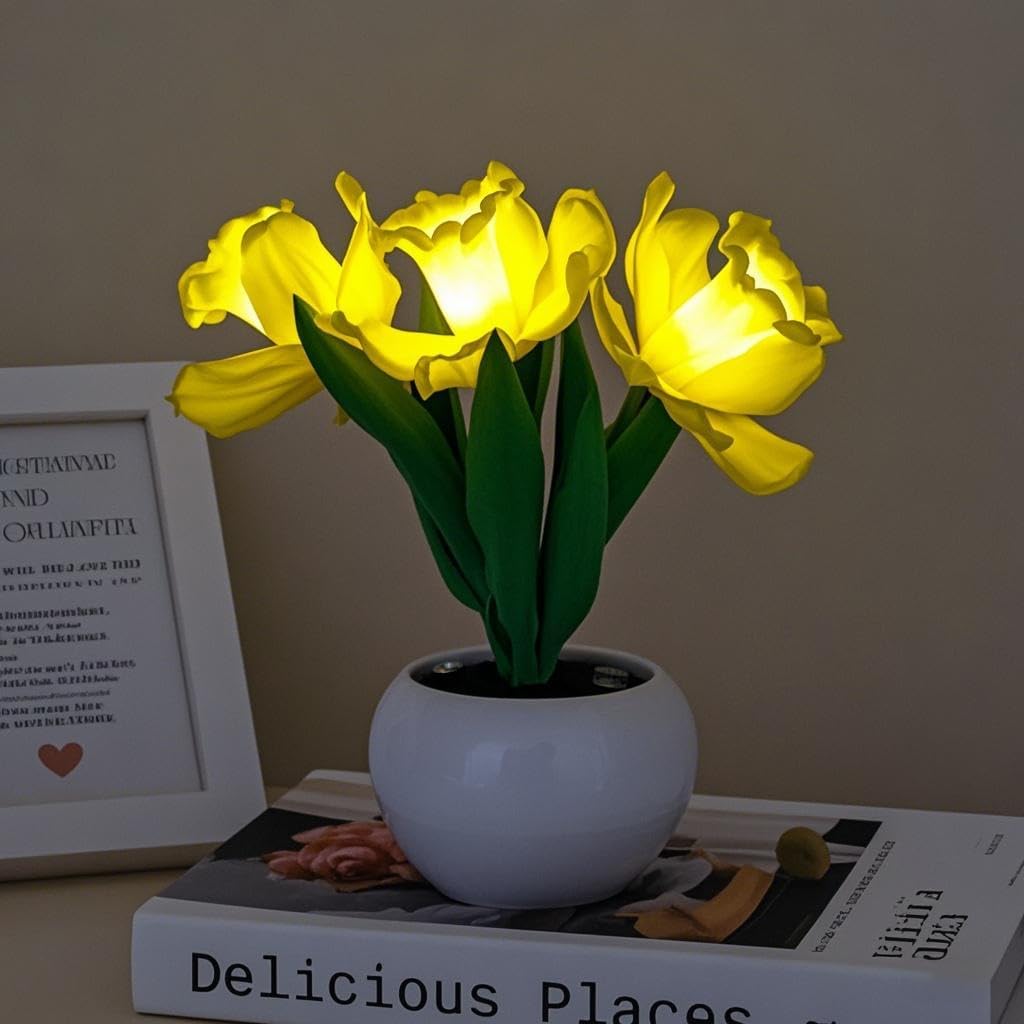 Naimo Daffodil Night Light Rechargeable LED Night Lamp Flower Table Lamp for Bedroom Living Room Birthday Party Desktop Home Decor