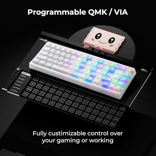 Image of HITIME XVX M67 Wireless 60% Percent Keyboard, QMK /VIA Topographic Gaming Keyboard, Tri-Mode Thocky Creamy Mechanical Key Board, Hot Swappable Gasket Mount RGB IMD Tech for Win /Mac, Miami Theme, White