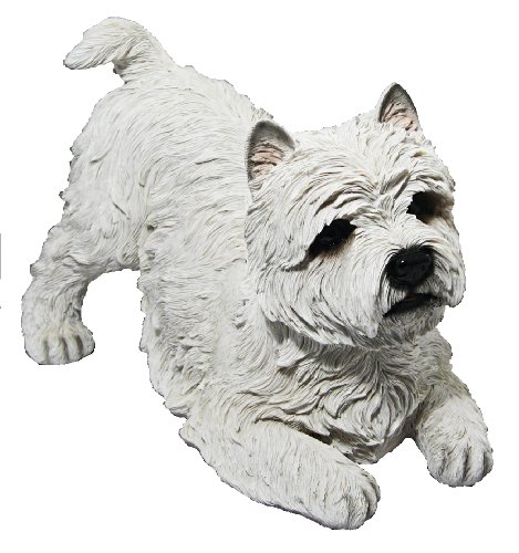Real Life Vivid Arts West Highland Terrier, Resina...