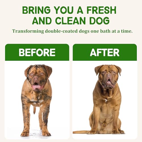 Hundeshampoo gegen Juckreiz und Hautirritationen – Naturales Shampoo für Haustiere mit Camellienöl für empfindliche Haut, Reduzierung der Fellausfälle | 473 ml (Kurzhaarhund)