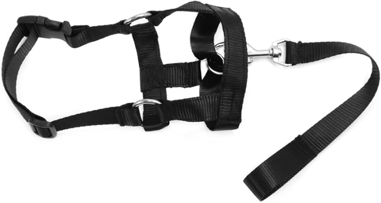 Dog Head Collar, No Pull Training Tool for Dogs On Walks, Soft Padding, 5 (s-XXL, Black) : Pet Supplies