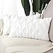 Madizz 2 pcs Doux Peluche Laine Courte Velours Décoratif Housses de Coussin Luxe Style pour canapé Chambre Blanc 40 x 60 cm