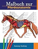  Malbuch zur Pferdeanatomie: Unglaublich detailliertes Arbeitsbuch zum Selbsttest der Pferdeanatomie  Perfektes Geschenk für Tiermedizinstudenten, Pferdeliebhaber und Erwachsene