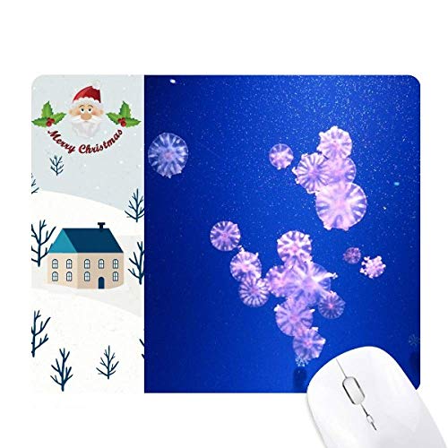 CmNQȊw͎R̎ʐ^ T^N[XƉS̃}EXpbh