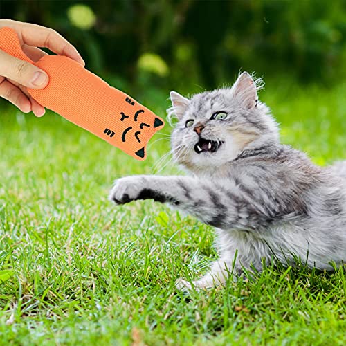 ADAKEL 5 Pieces Cat Catnip Toy Cat Chew Toy for Pet Cat Playing Chewing Teeth Cleaning ADAKEL 5 Pieces Cat Catnip Toy Cat Chew Toy for Pet Cat Playing Chewing Teeth Cleaning