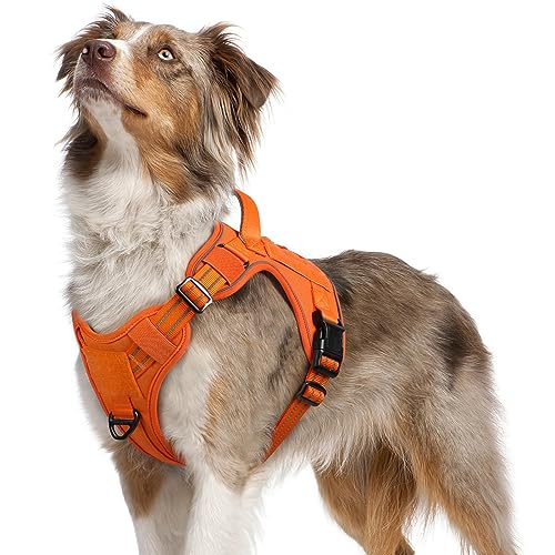 rabbitgoo Hundegeschirr mittelgroße Hunde, Anti Zug Geschirr Hund Verstellbar mit Griffe Verbreitert, Robust und Verschleißfest, Taktisches Hundegeschirr mit Metallschnallen zum Wandern(M, Orange)