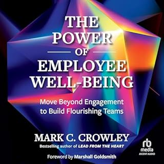 The Power of Employee Well-Being cover art
