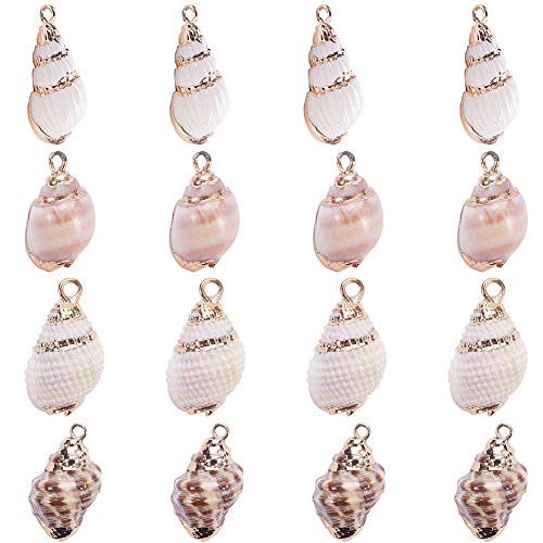 SUNNYCLUE 1 Box 16Pcs Oval Ocean Beach Spiral Seashells Craft Charms Connectors Pendant Conch Shells Charms with Plated Golden Loop Bail for Jewelry Bracelet Necklace Making Craft Supplies