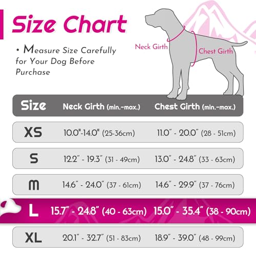 Eagloo Dog Harness No Pull, Walking Pet Harness with 2 Metal Rings and Handle, Adjustable Reflective Breathable Oxford Soft Easy Control Vest for Small Medium Large Dogs, Rose Red, L - Image 3