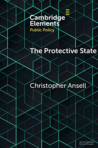 The Protective State (Elements in Public Policy) (English Edition)