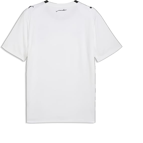 Puma Men's Egypt FA Away Jersey Replica