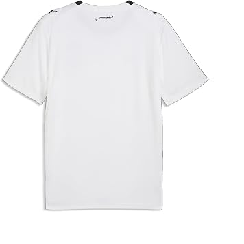 Puma Men's Egypt FA Away Jersey Replica