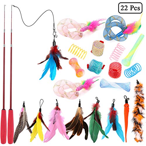 Coddsmz 22 Pack rétractable Chat Plume Jouet Ensemble Chat Printemps Jouet Chat Plume Teaser Baguette Jouet pour Chaton Chat coloré Animaux de Compagnie Jouet (Multicolore-1)