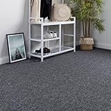 Steffensmeier Teppichboden Meddon Meterware | Auslegware für Kinderzimmer Wohnzimmer Schlafzimmer | Anthrazit, Größe: 200x300 cm