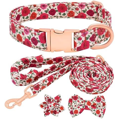 Girl Dog Collar and Lead Set with Bow Tie Cover