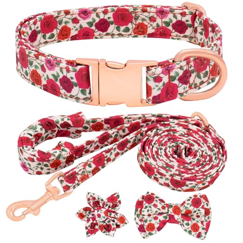 Ensemble collier et laisse avec nœud papillon, collier rembourré doux réglable pour animal domestique avec fleur amovible et plaque d'identité pour chien,...