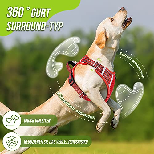Eyein Hundegeschirr für Kleine Mittelgroße Hunde, Air Mesh Atmungsaktiv Brustgeschirr mit weichem Griff und Abschließbare Karabiner, ausbruchsicher reflektierend Hund Geschirr für Welpen, Rot, XS