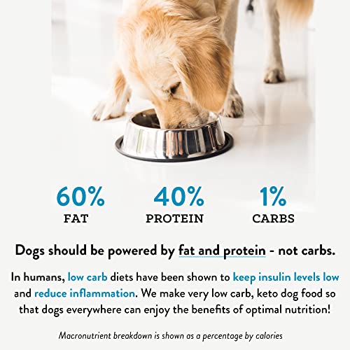 Visionary Pet Foods - Natural Chicken Flavored Kibble | Low Carb Dry Dog Food | High Protein | Grain Free| Limited Ingredients | Real Meat Chicken Recipe 22Lb Large Bag #TOP5