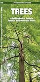 Trees: A Folding Pocket Guide to Familiar North American Plants (Wildlife and Nature Identification)