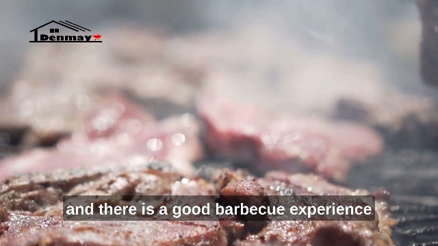 Griglia Infrarossi Charbroil 43,2 Cm - Ricambio Performance TRU 2 Bruciatori