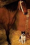 At the Stables Horse and Dog by Edgar Degas: Journal (Blank / Lined) (Art of Life Journals)