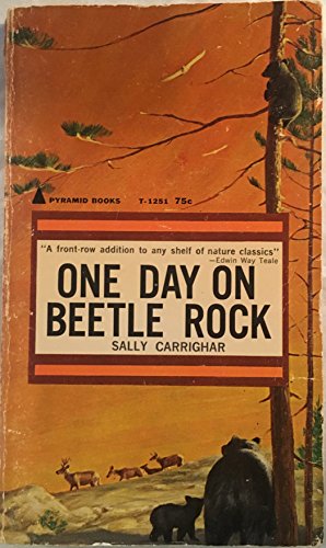 One day on Beetle Rock (Pyramid worlds of natur... B0007EQVRU Book Cover