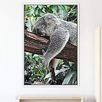Framed Canvas Wall Art Koala Bear Animals Expressive Farmhouse/Country Living Room Monkey Multicolor Photography - 16x24 inches