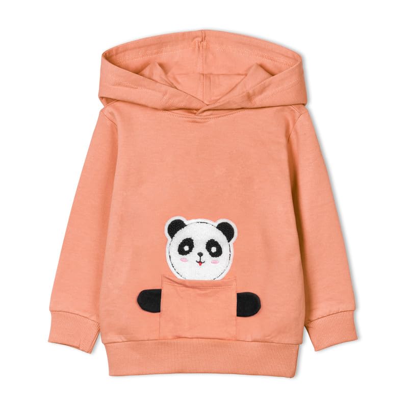 ARIEL Kids Cotton Fleece Full Sleeve Hoodie Sweatshirt for Boys and Girls (ORGPKTTED-ORA-06MTS) Peach - Image 6 thumbnail