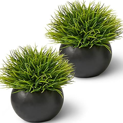 SEEKO Succulents Artificial Plants for Office Décor, Desk Plant Decor, Office Desk Decor, Bathroom Shelf Decor - Masculine Home Decor, Mini Faux Plants Indoor, Small Fake Plant Greenery (2 Pack) Cover