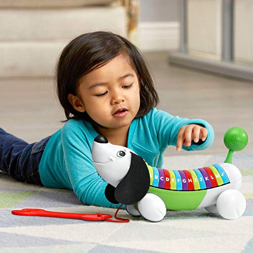 Image of LeapFrog AlphaPup (Frustration Free Packaging), Green