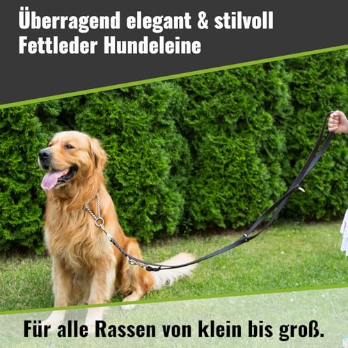 Hundeleine Leder 2m kleine Hunde leicht Fettlederleine [3-Fach Verstellbar] Lederleine geflochten – robuste Leine Hund mit Chrombeschlägen – Führleine Hund & Freihandleine zum Umhängen, Braun 10mm