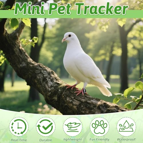 Vibbang GPS Tracker Katze Hund, Mini Hundetracker ohne ABO, GPS Tracker Hund mit iOS und Halsband Inkludiert, Positionsverlauf, Bluetooth Haustierortungsgerät
