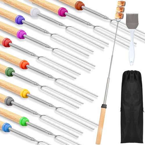 12 Pièces Fourchettes Marshmallow Brochette 31cm à 81cm, Brochettes Télescopiques en Acier Inoxydable Brochettes pour Barbecue, pour Barbecue, Feu de Camp, Pique-nique, Cheminée (12 Pièces)